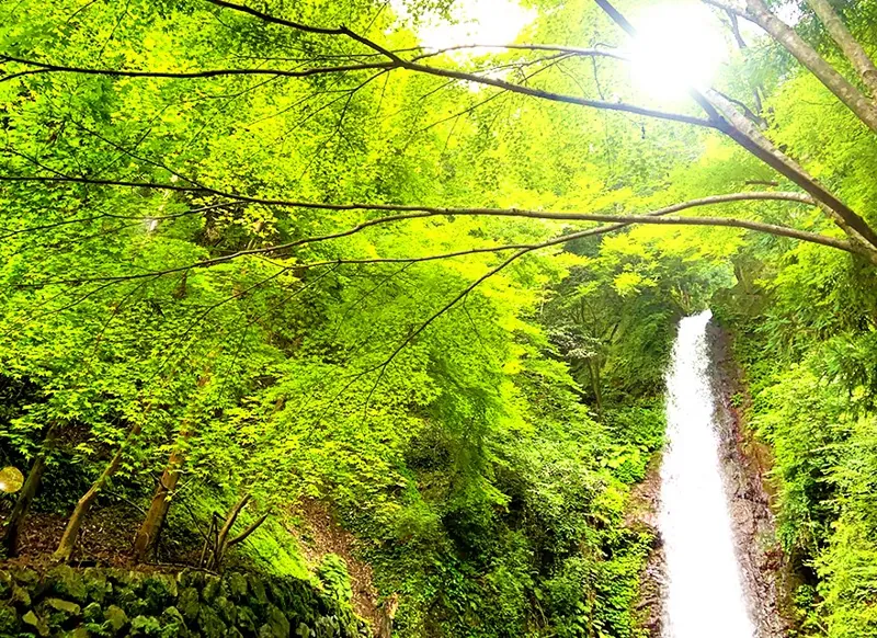 養老の滝 3