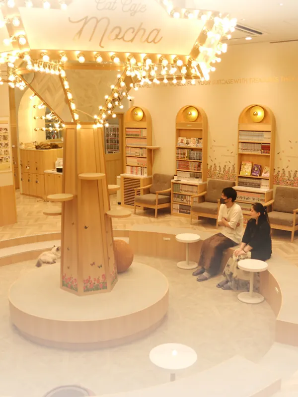 猫カフェMOCHA イオンモール福津店