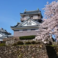 越前大野城 2