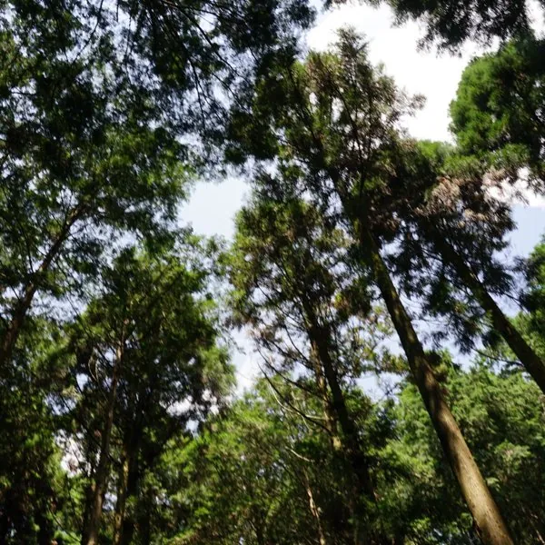 くつわ池自然公園 3