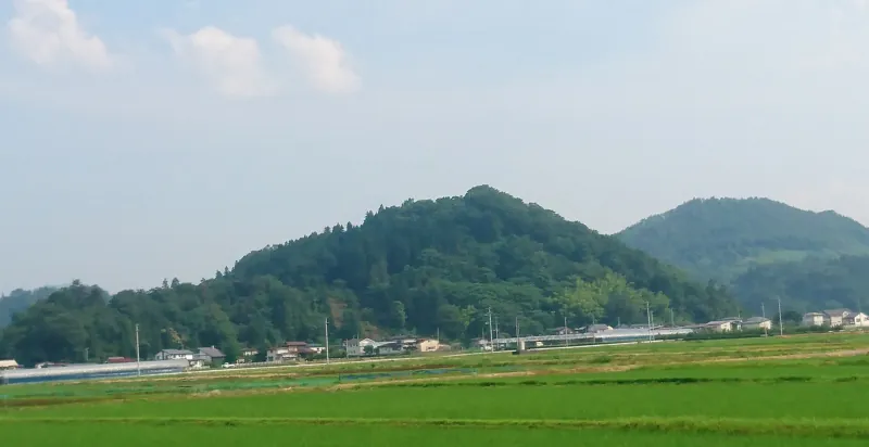 長谷堂城跡（城山）