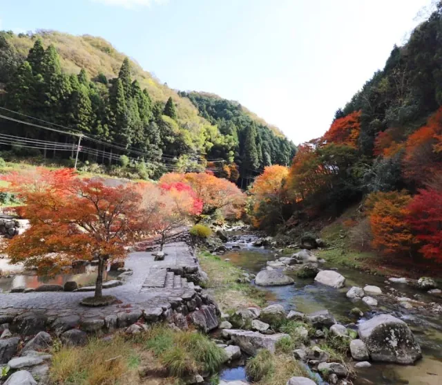 滝ノ口河川公園
