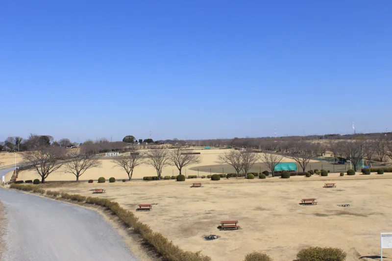 桃畑緑地公園 3