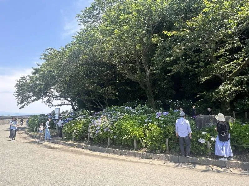 住吉自然公園 2