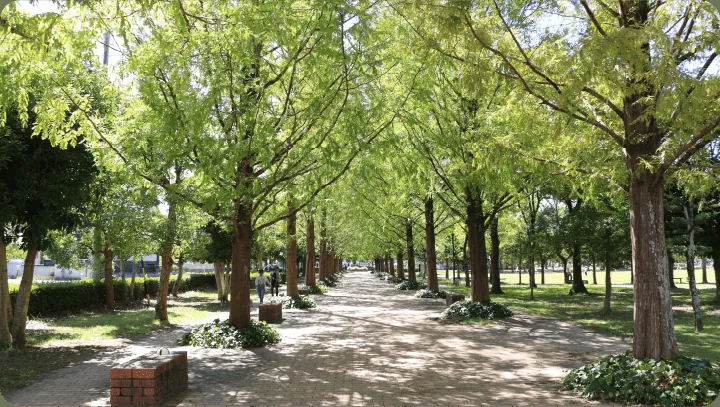 美薗中央公園