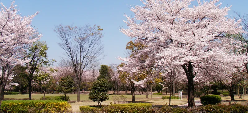 熊谷さくら運動公園 3