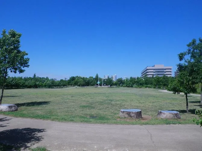 合併記念見沼公園 2