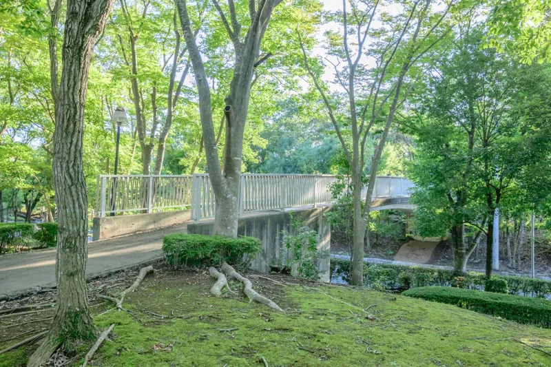 桜南スポーツ公園
