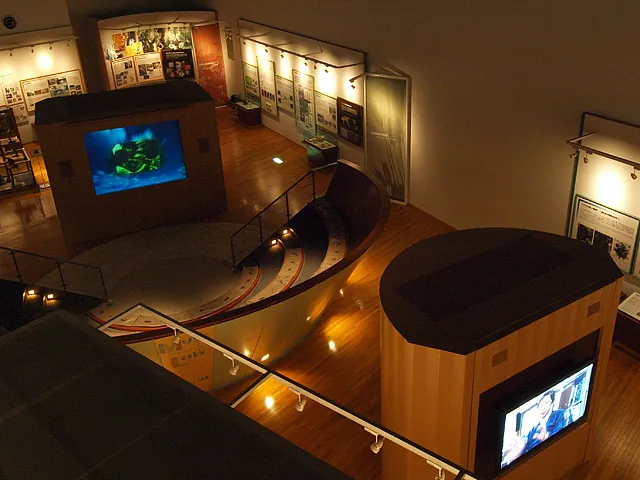 京都大学総合博物館 2