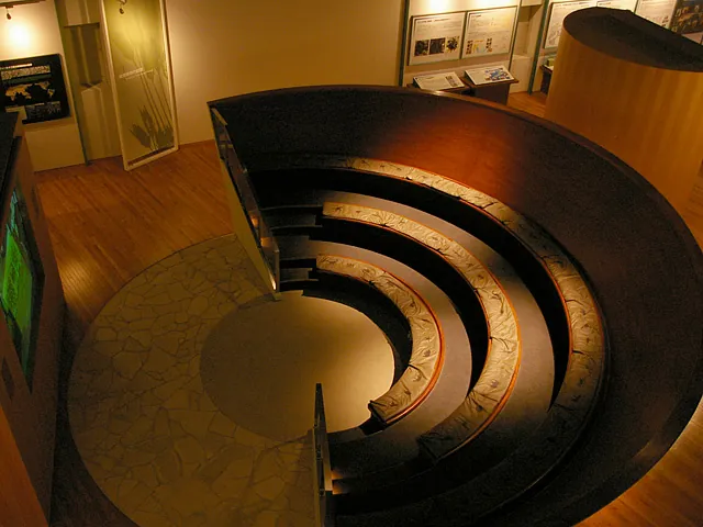 京都大学総合博物館 3