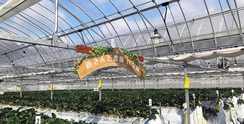新さんだ農園 いな岡 2