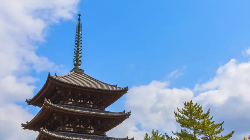 奈良公園