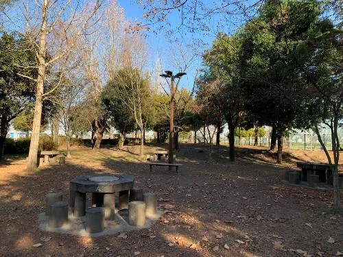ふれあいの森公園 3