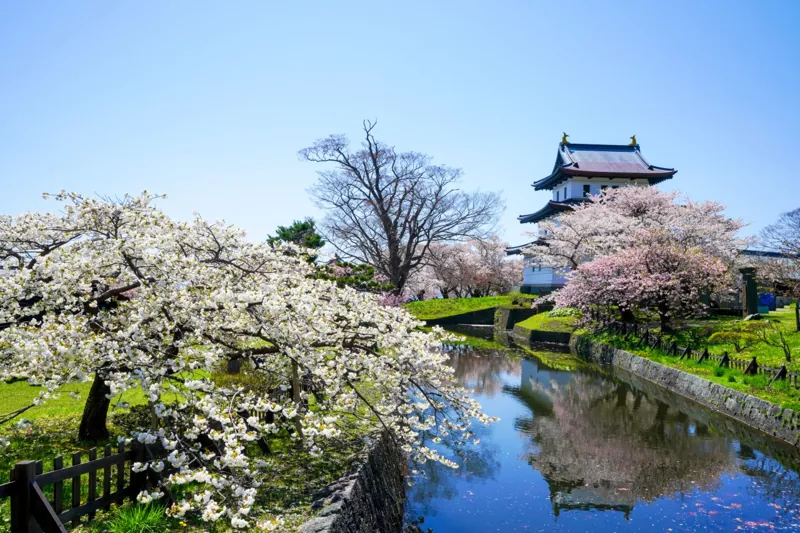 松前公園