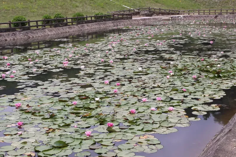 寺谷総合公園