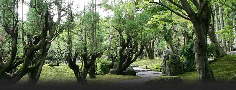 しょうざんリゾート京都 2