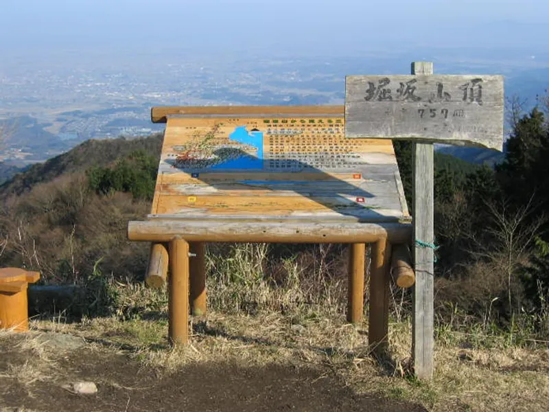 堀坂山