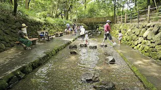 柿田川公園 3