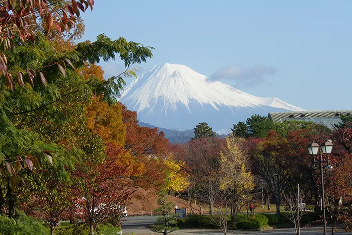 駿府城公園 3