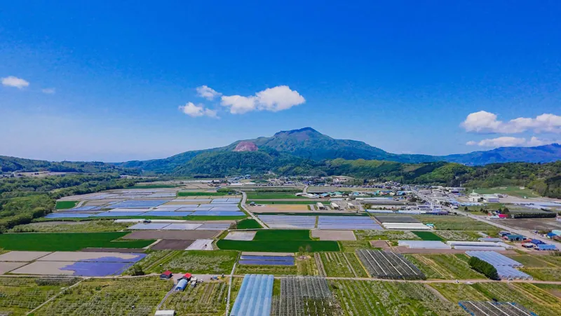 くだもの農家 浜田園