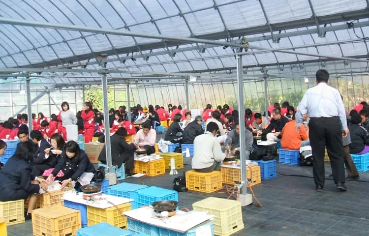 くだもの農家 浜田園 3
