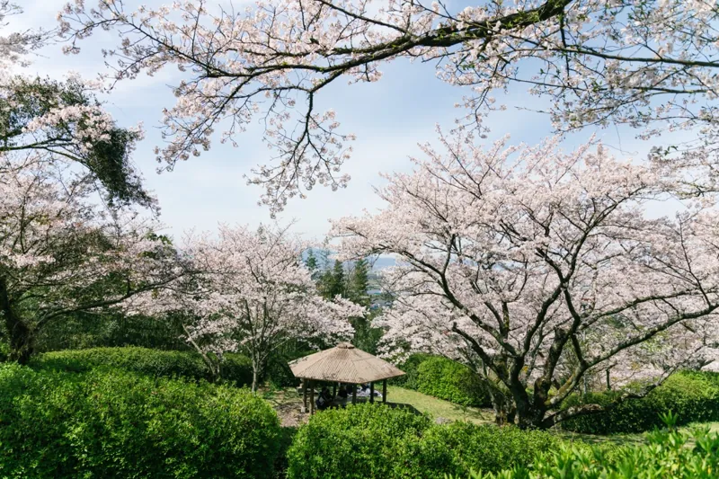 発心公園