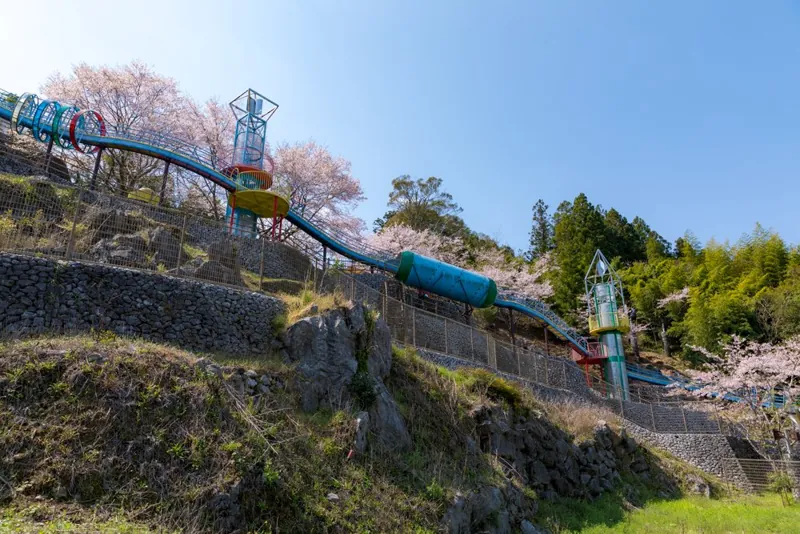 五位山緑地公園 1