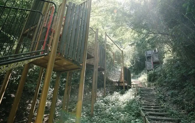 森の宝島