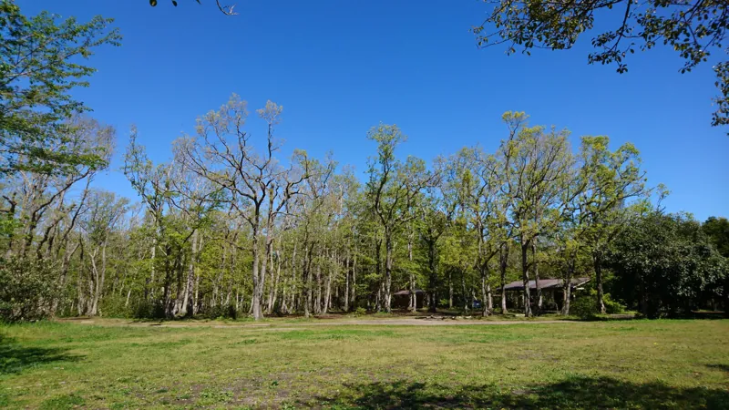 ホウリーウッズ久留里キャンプ村