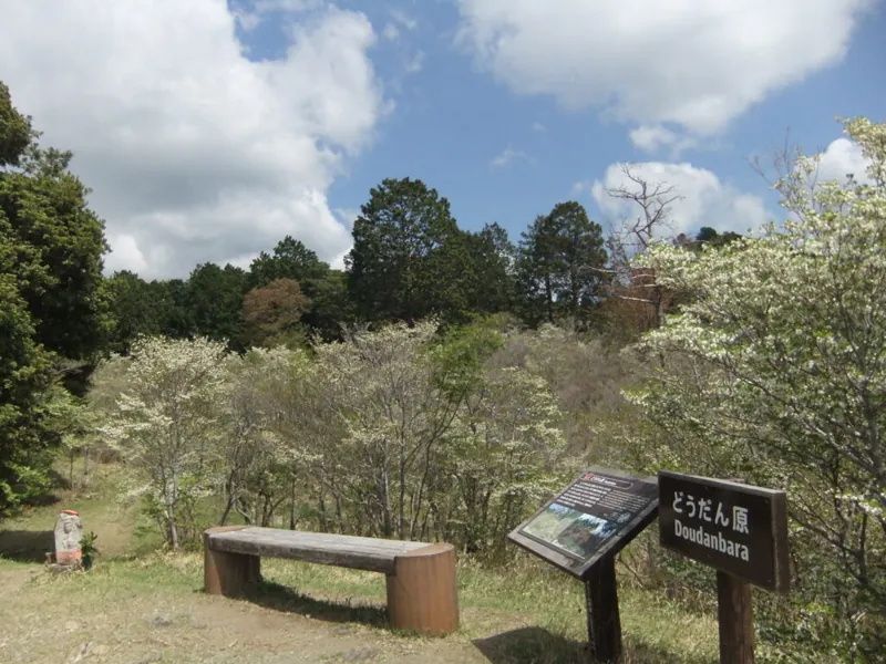 島田市ばらの丘公園