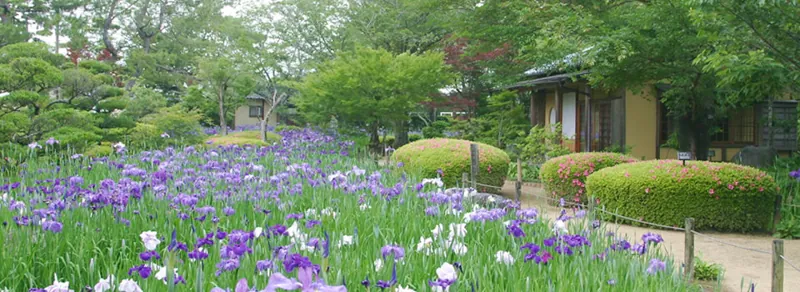 ひなた宮崎県総合運動公園