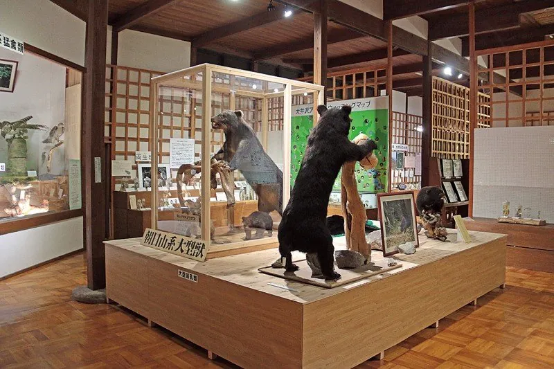 大井沢自然と匠館 2