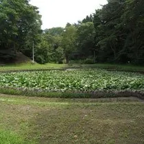 三沢公園 2