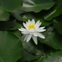 三沢公園 3