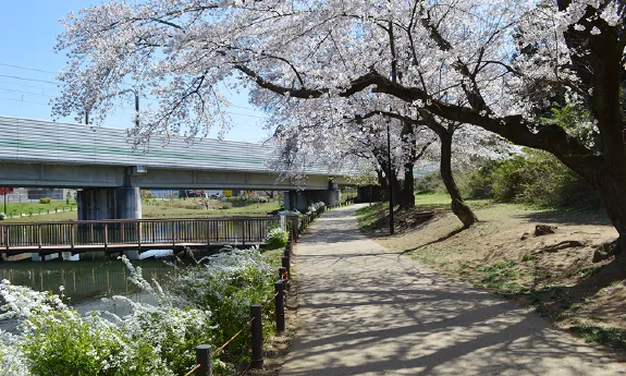 黒沢池近隣公園