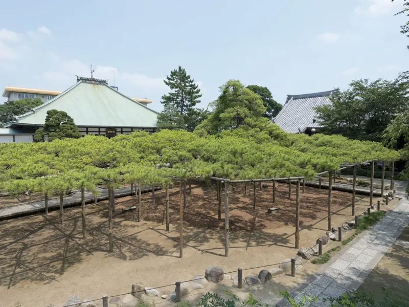 善養寺 1