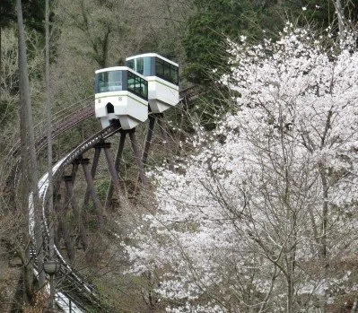 兵庫県立国見の森公園 3