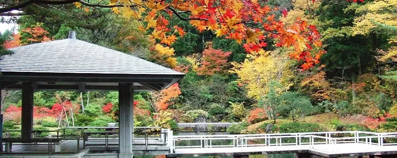 秋田県立小泉潟公園 3