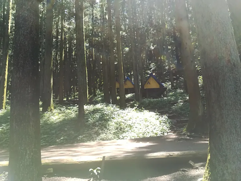 小平の里キャンプ場 2