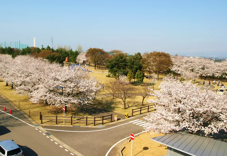 常願寺川公園