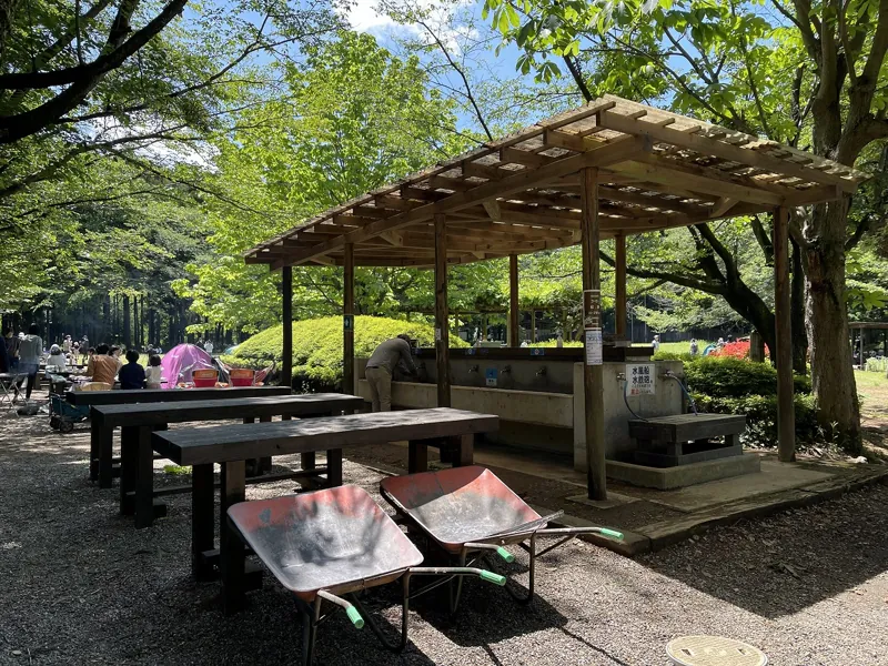 船橋県民の森 3