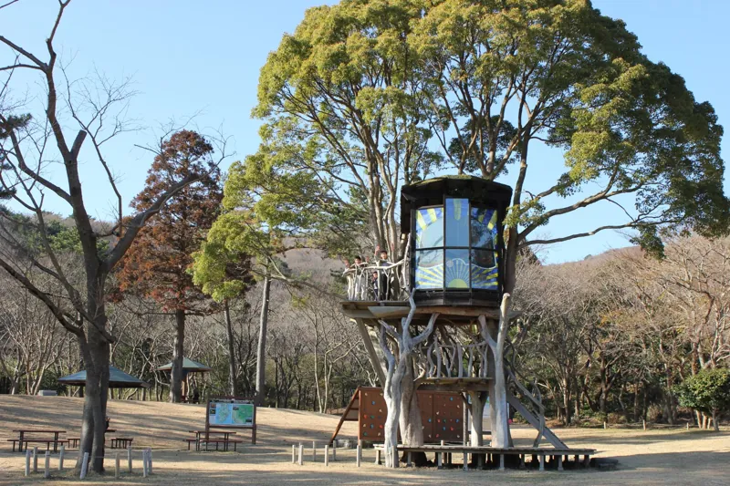稲取高原芝生広場(ツリーハウス)
