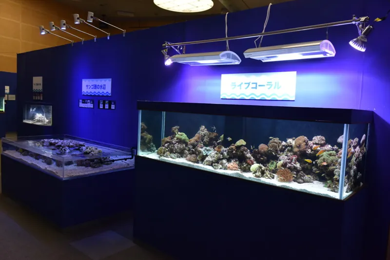 エビとカニの水族館