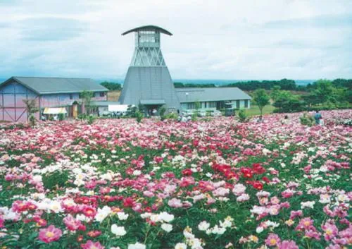 愛宕山公園