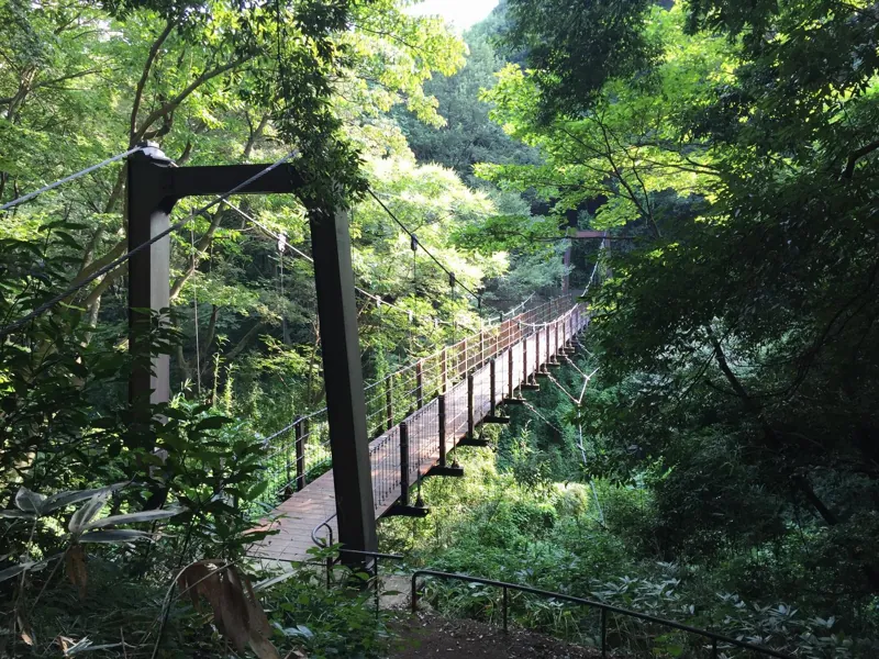 蓮生寺公園