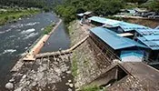 川口やな 1