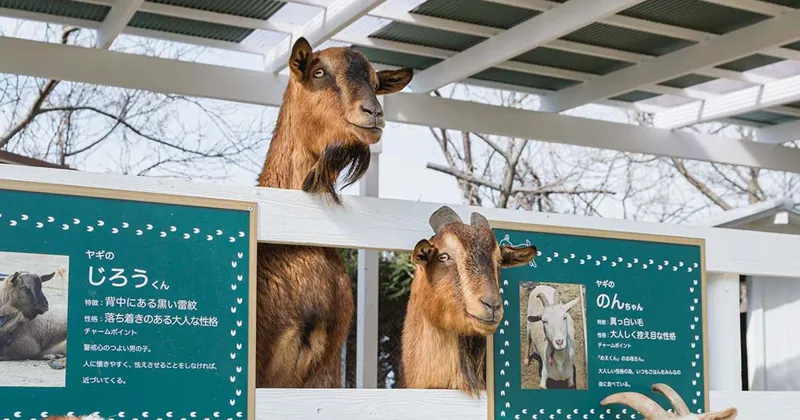 のじま動物園