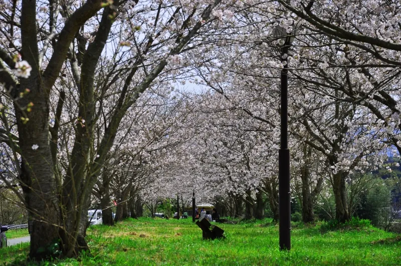 津志田河川自然公園