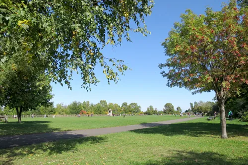 宮丘公園 3