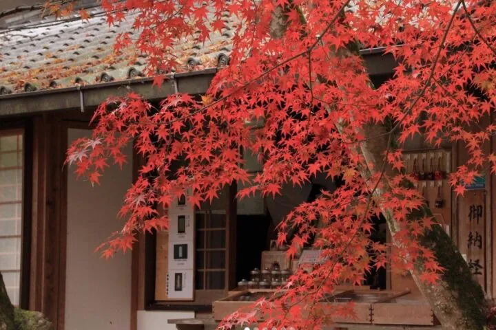 神峯山寺 2